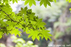 岳麓區網站建站公司哪家好？